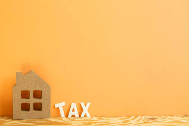 2025년 재산세 납부증명서 발급 및 납부방법 완벽정리!!