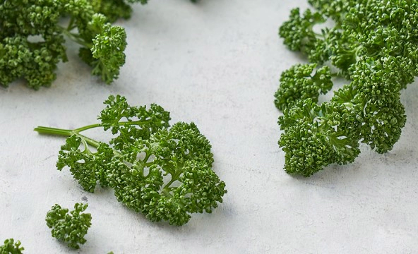 글루타치온 많이든 음식 파슬리, 브로콜리