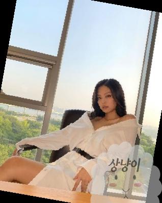 블랙핑크 제니 엄마 집안