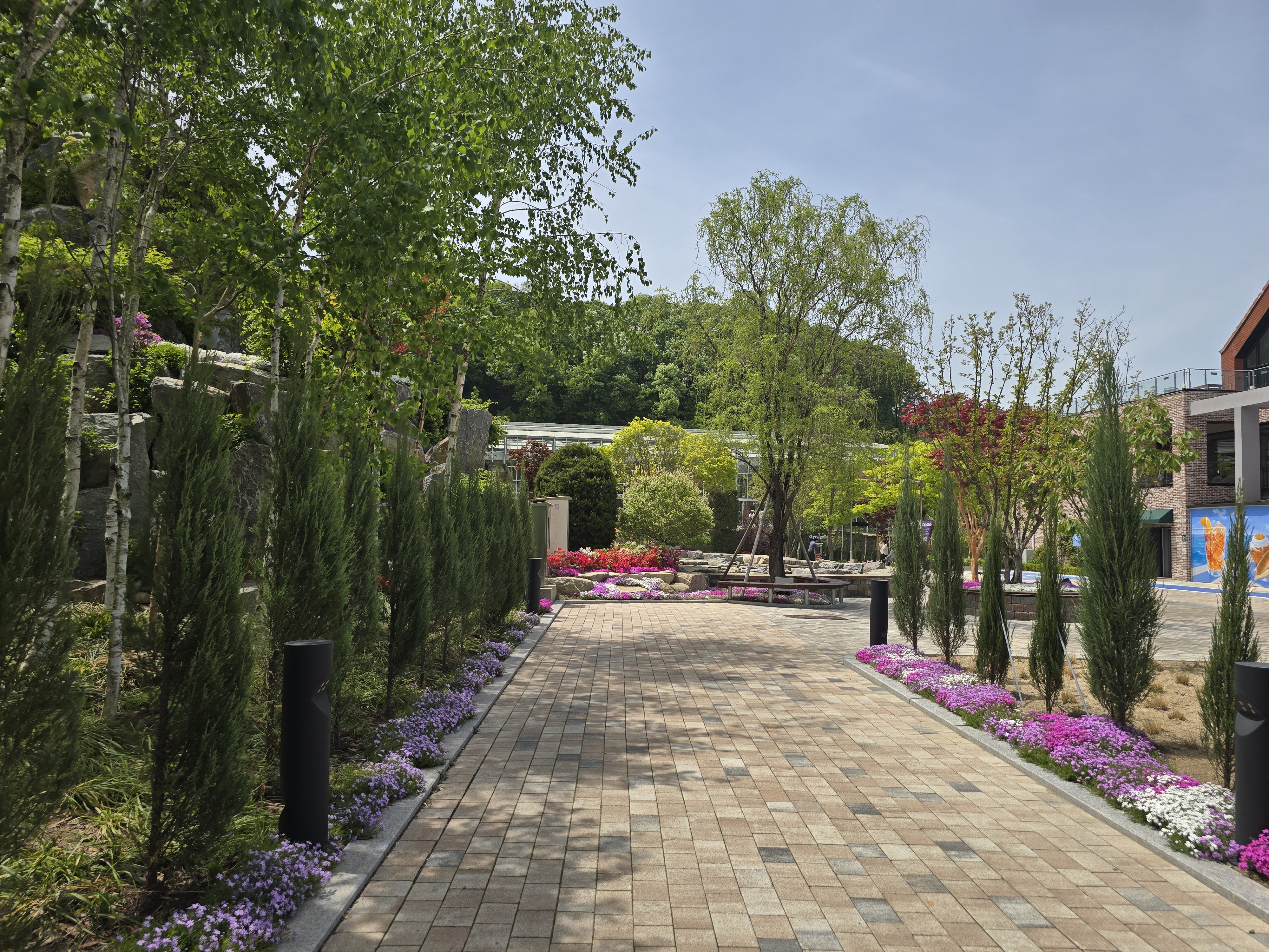 용인 자작나무 숲 봄꽃축제, 힐링 가득한 하루