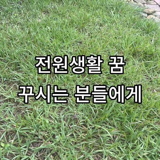자갈-잔디