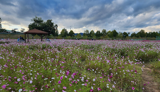 금오산도립공원