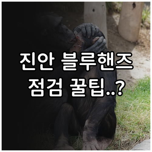 진안읍 현대자동차 블루핸즈 이용 시간..