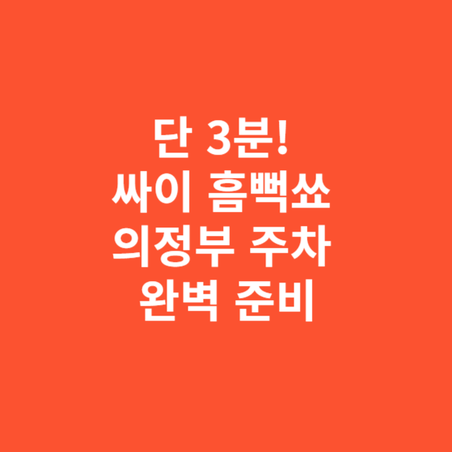 단 3분! 싸이 흠뻑쑈 의정부 주차 완벽 준비하세요