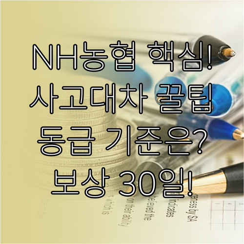 NH농협 사고대차 동급 차량 인정 기..