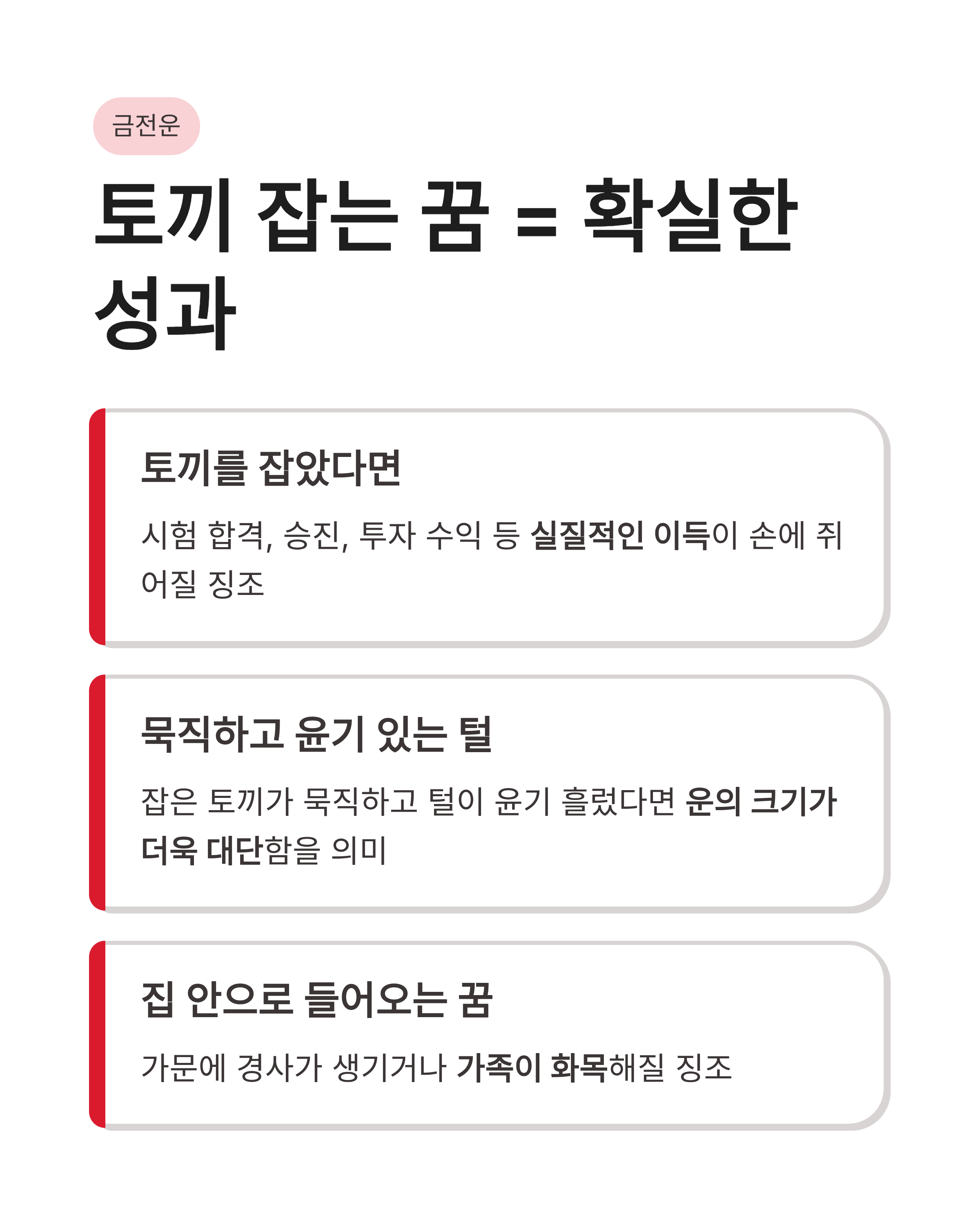 토끼꿈 해몽 흰 토끼 잡는 꿈 새끼 토끼 태몽까지! 복이 껑충 들어오는 대박 징조 총정리