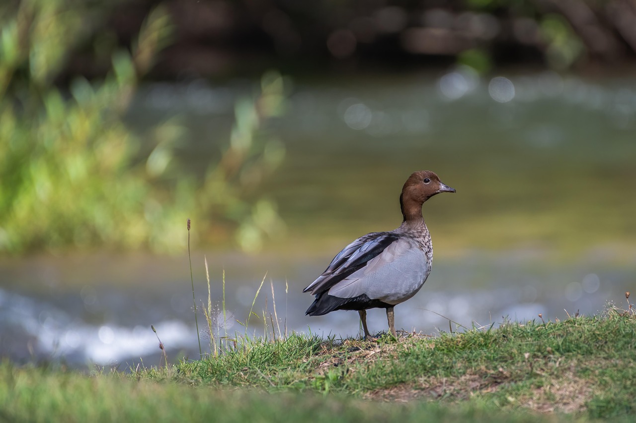 6.27 부동산 대책 대출규제