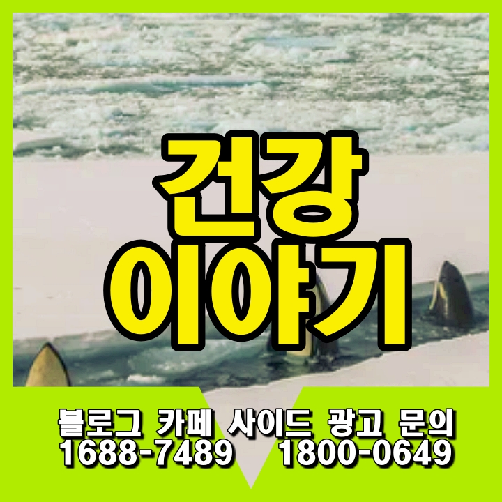 치매예방,치매