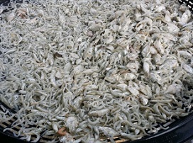 멸치