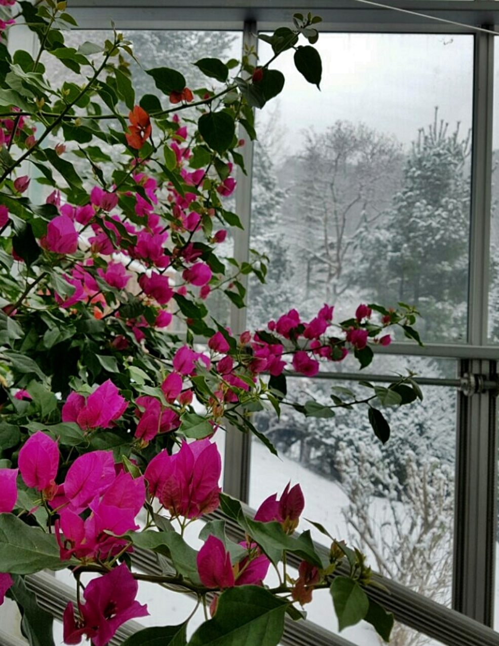 용인 한택식물원 안내 