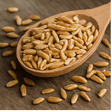 카무트 효소 효능