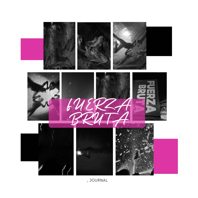 푸에르자 부르타 웨이라 2022