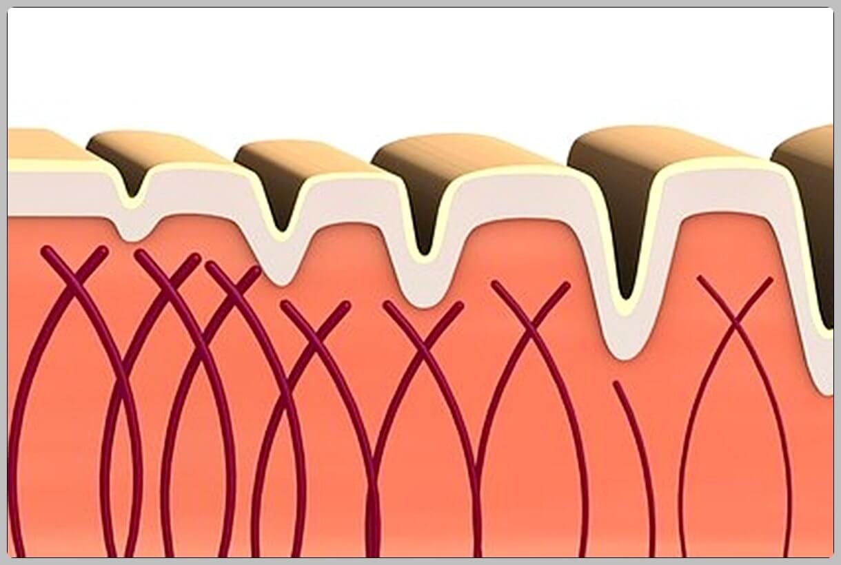 저분자 콜라겐 펩타이드 추천 제품