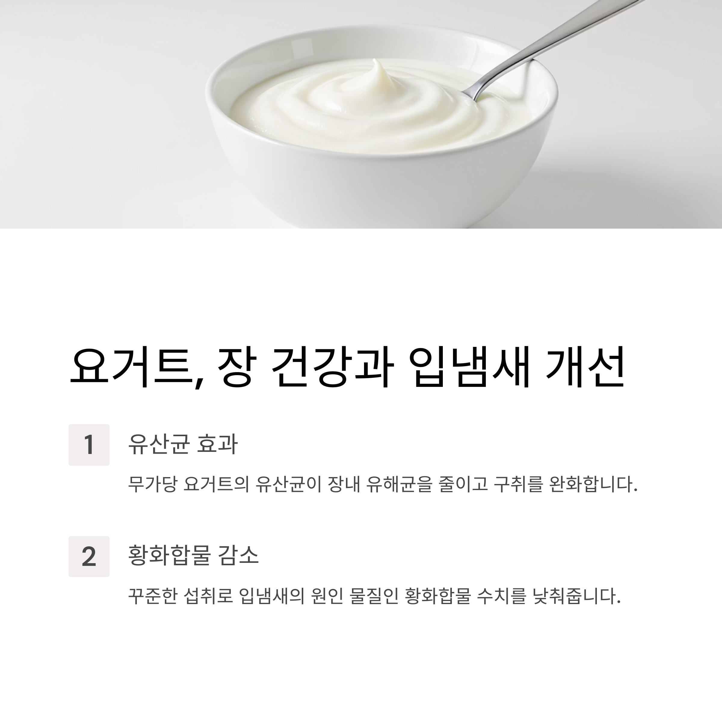 요거트 장건강 입냄새 개선