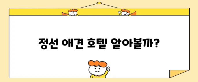 강원도 정선 여행 필수 아이템 메이힐스 가성비 높은 애견동반 호텔 숙소 추천입니다!