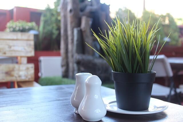 소비쿠폰 잔액확인