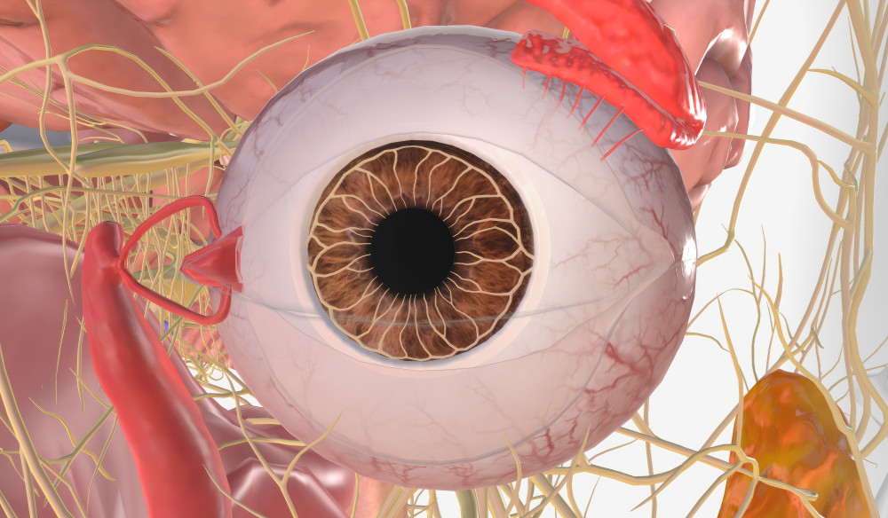 백내장 수술비용