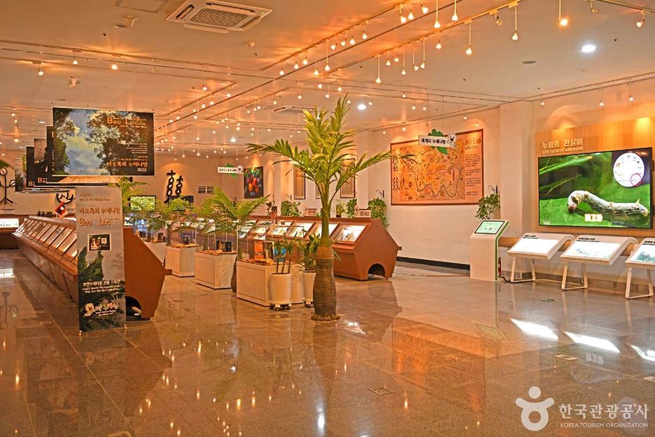 부안 가볼만한곳 베스트10