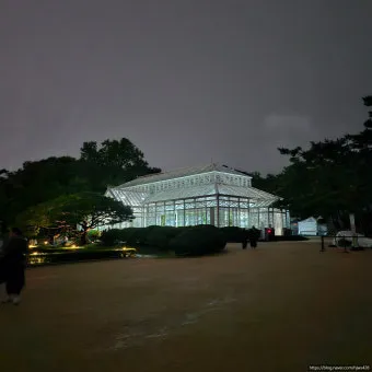 창경궁 야간개장 물빛연화 창경궁 야간개장 인터넷예매 예매 요령_18