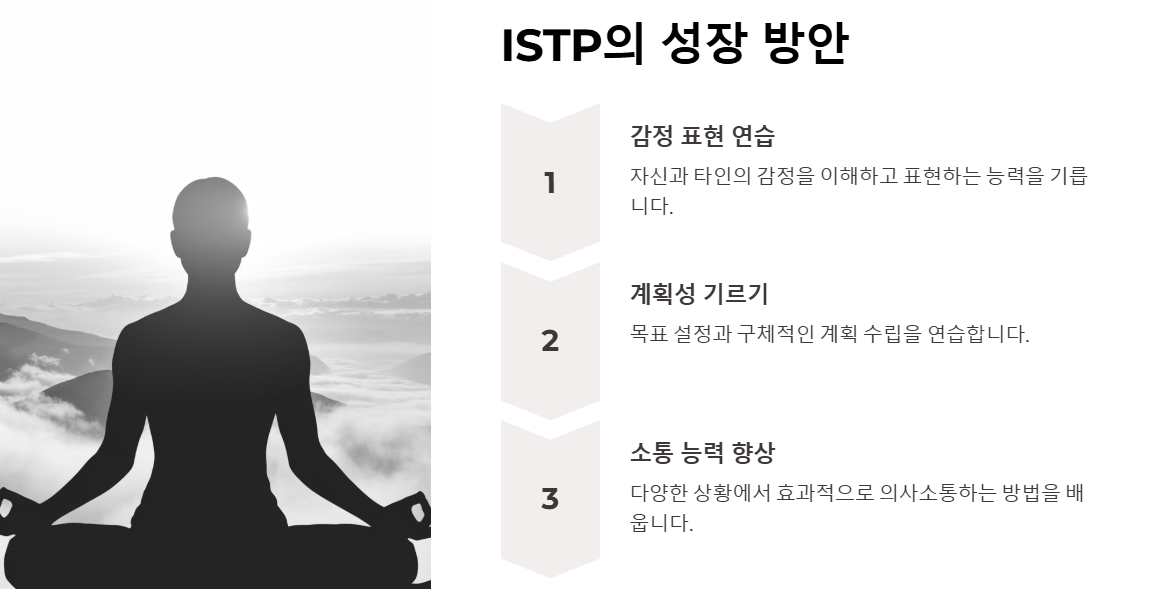 ISTP의 성장 방안