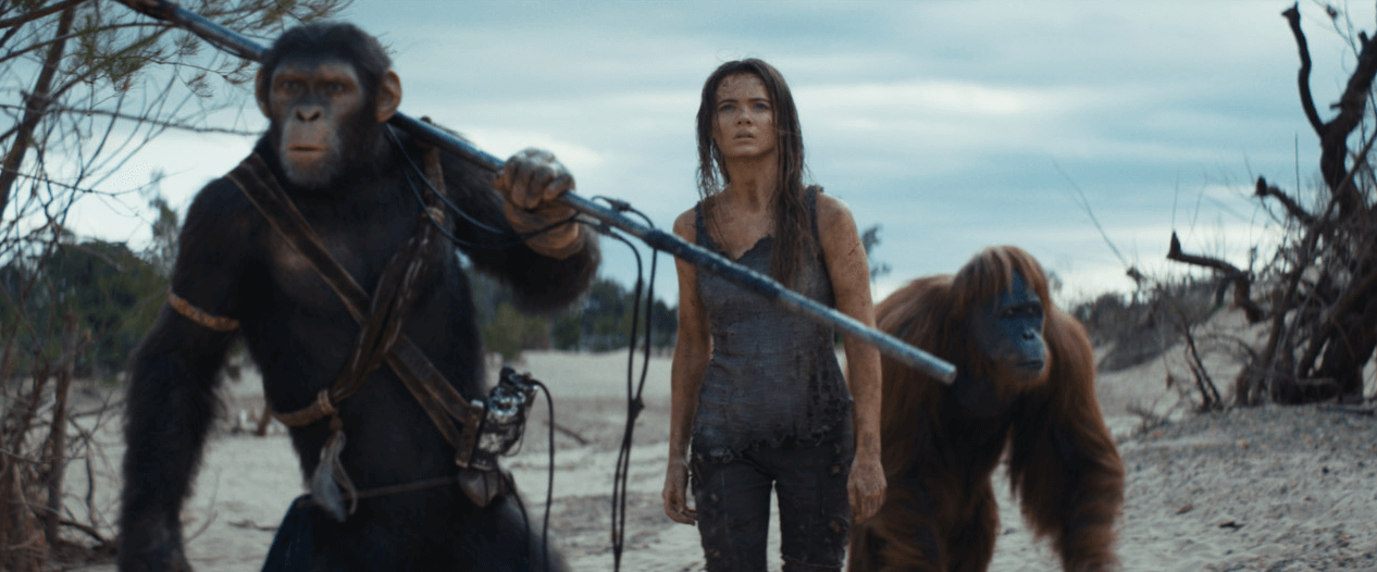 5월 개봉예정 영화