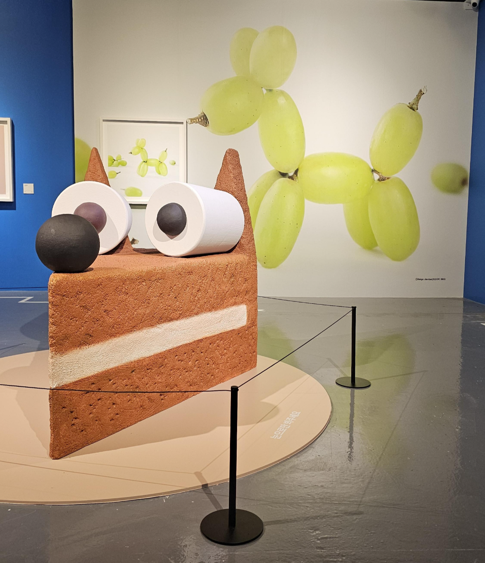 아쿠아플라넷 여수 헬가 스텐첼 특별전