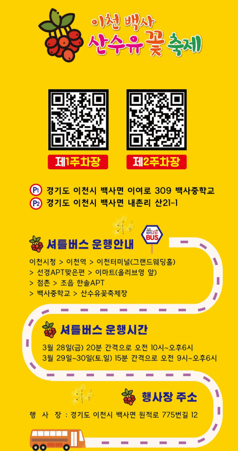 2025 이천백사 산수유꽃축제 – 봄을 물들이는 노란 향연