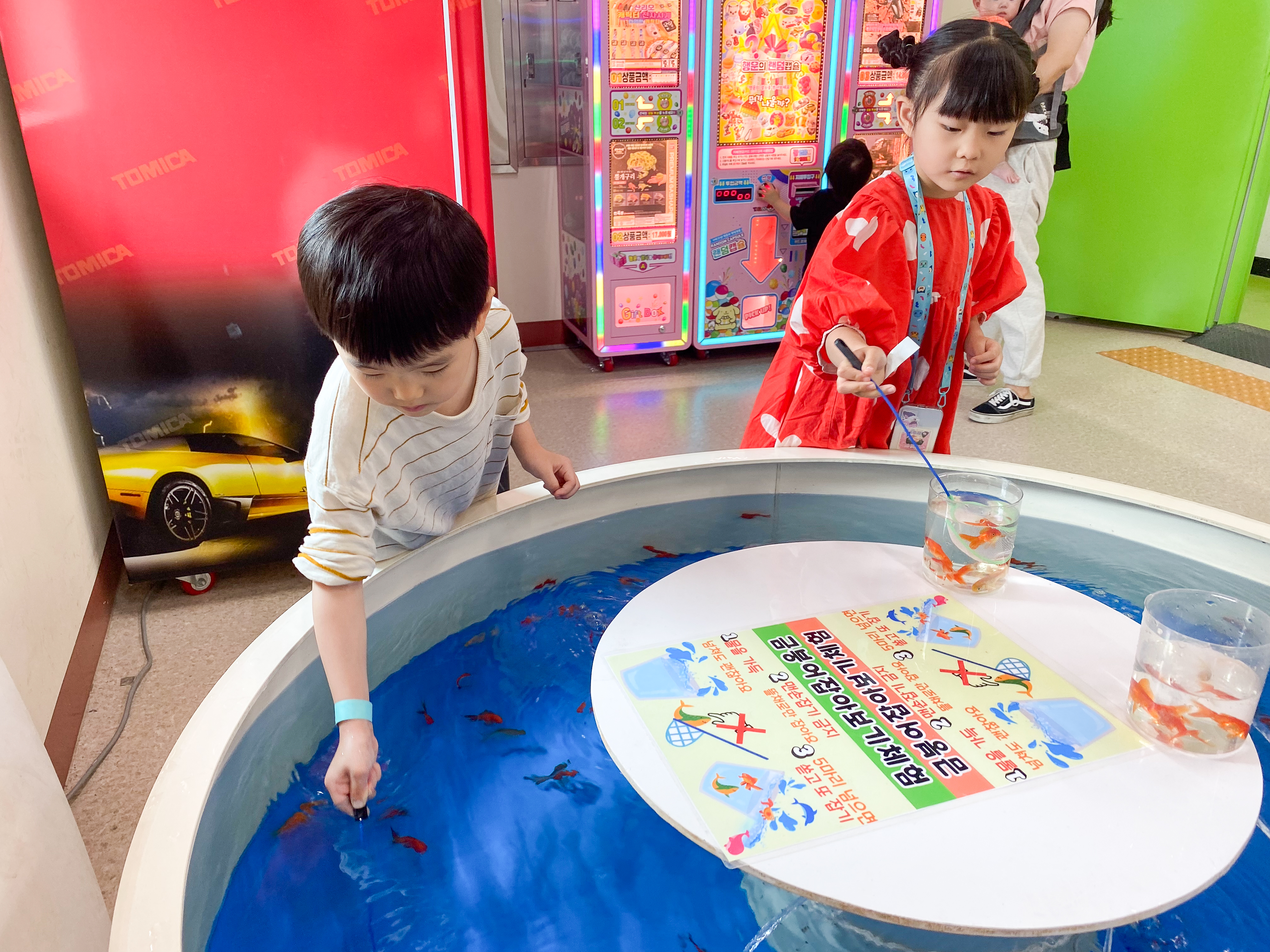 금붕어 잡기 체험