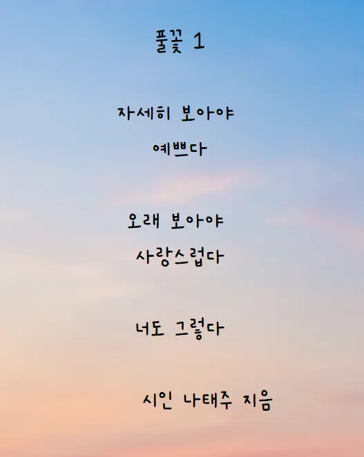 나태주 시인의 시 풀꽃-노을진 하늘