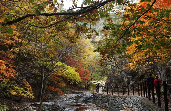 주왕산