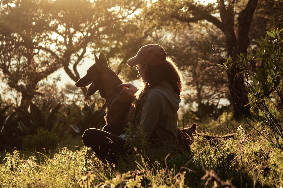 Companion