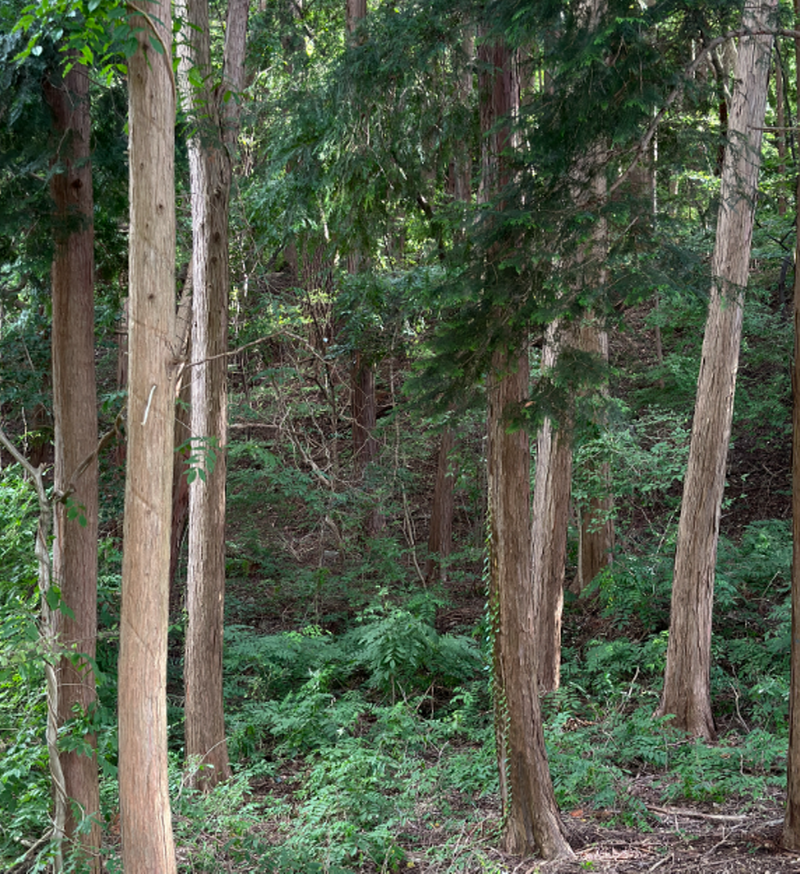 양산 법기수원지