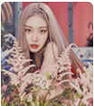 청하