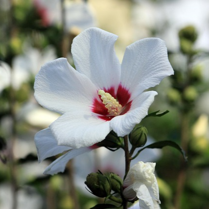 전국민 25만원 지원금 신청