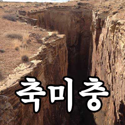 축미충 사주 충(沖)