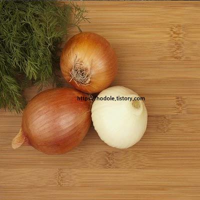 양파