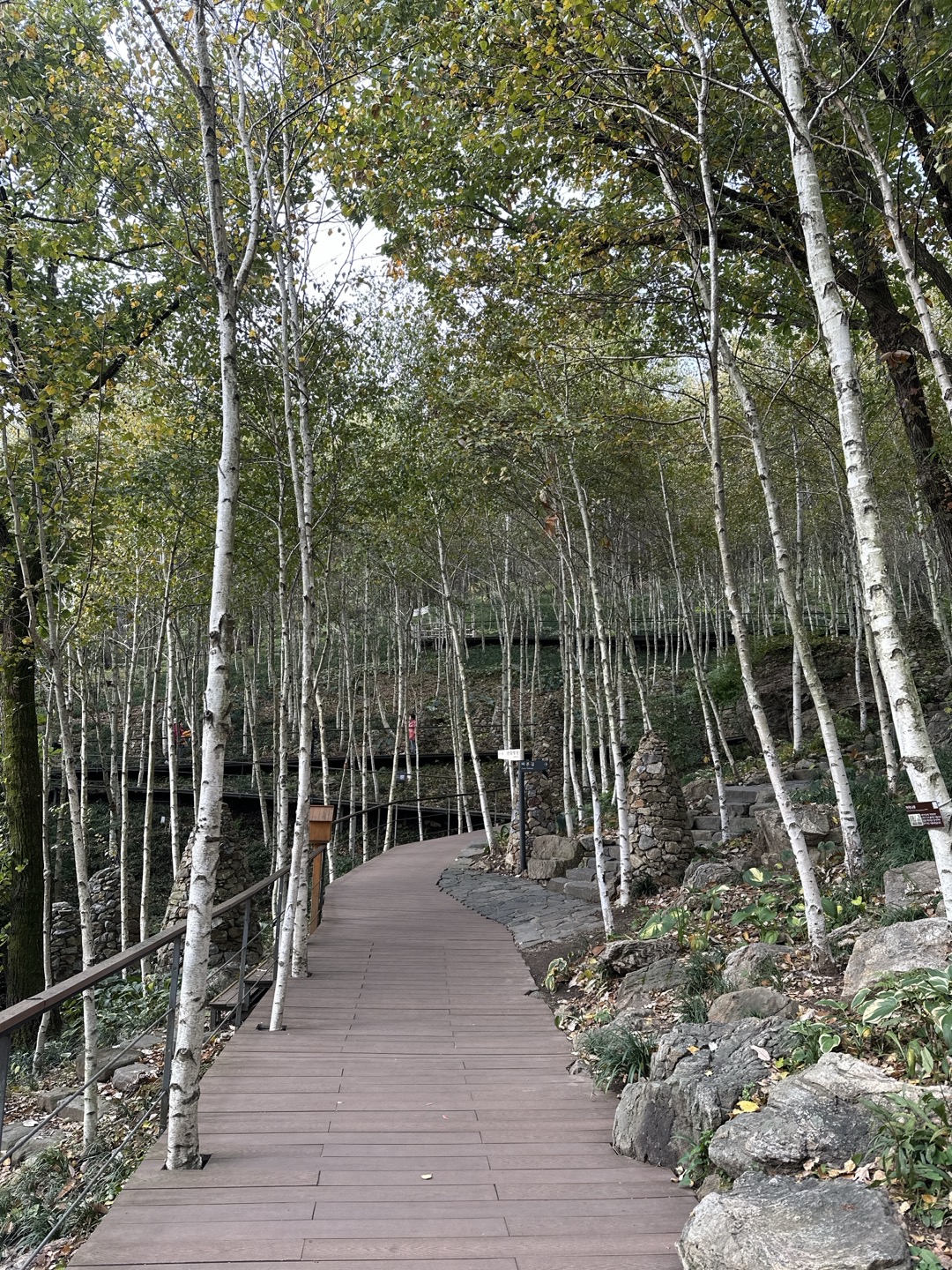 봄 여행 화담숲