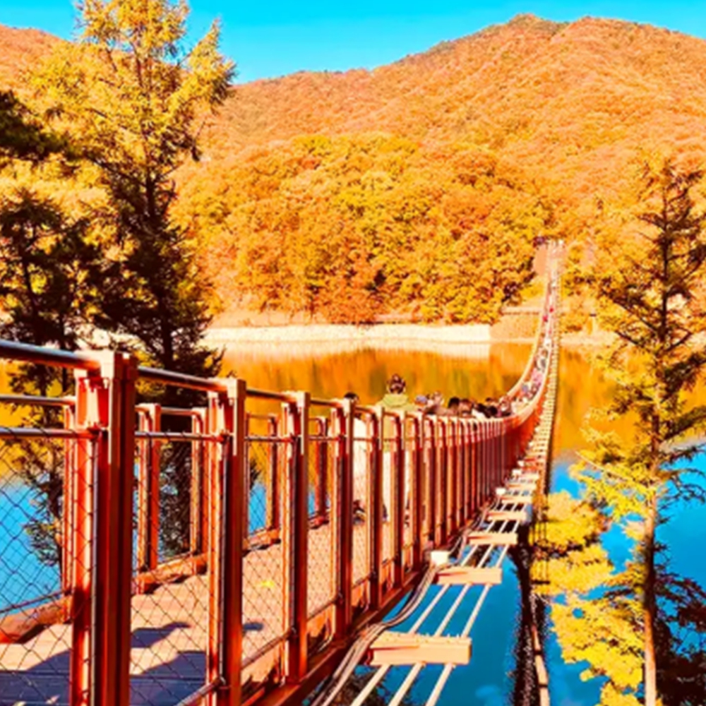 마장호수 출렁다리