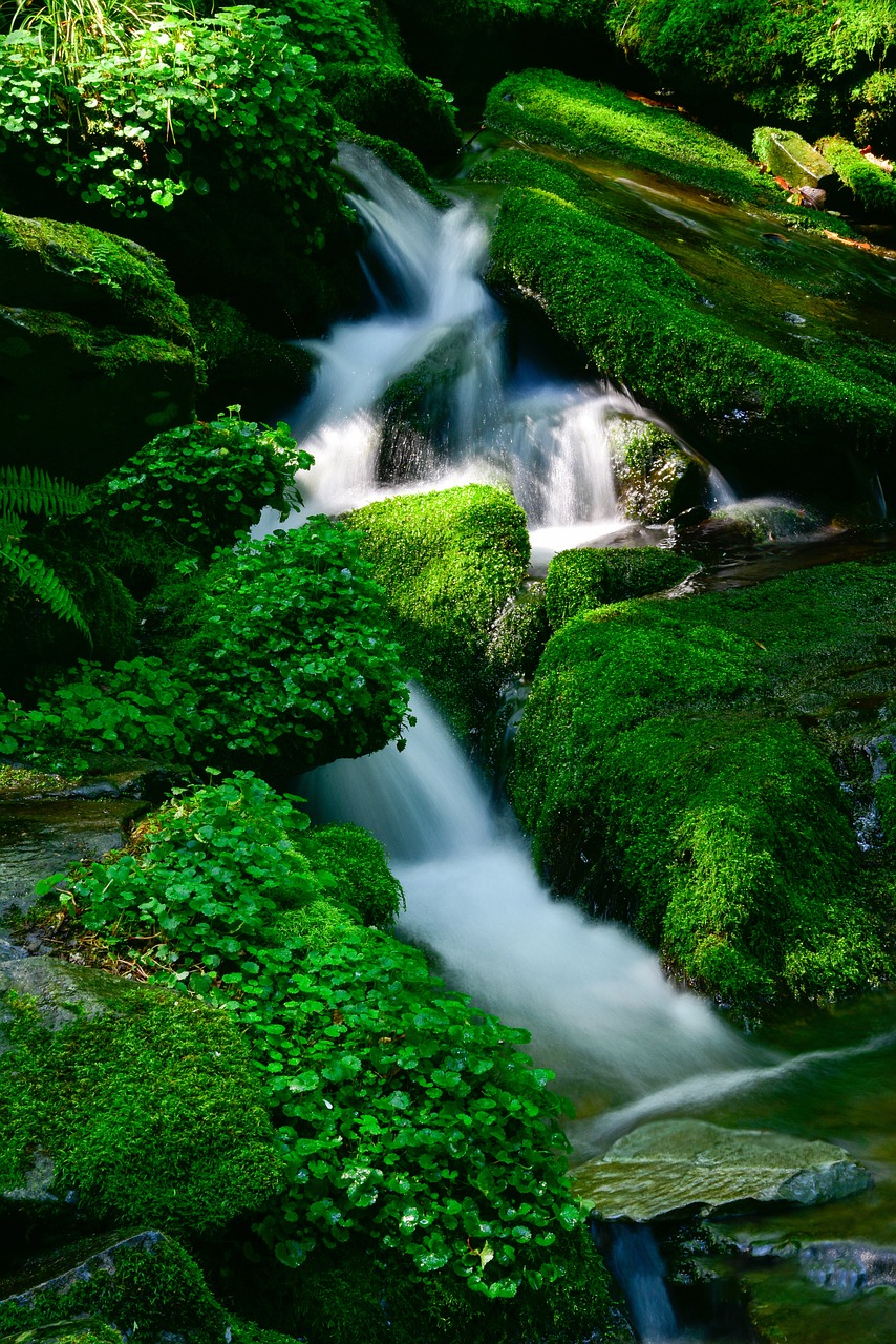 계곡이미지첨부