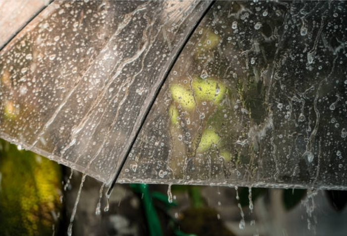 장마철 가족 건강 관리