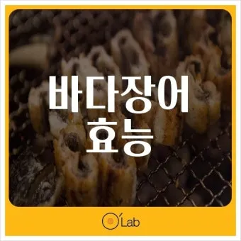 장어 효능 장어와 상극인 음식 건강 상식_8