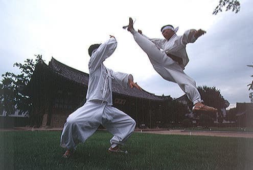 택견 발기술의 타이밍 구조와 리듬 변화 전략 심층 분석