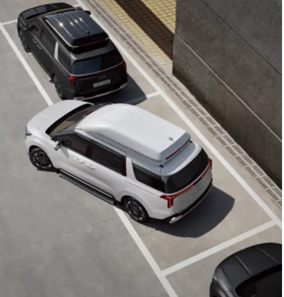 회색 길 흰색 주차선에 주차중인 흰색 카니발