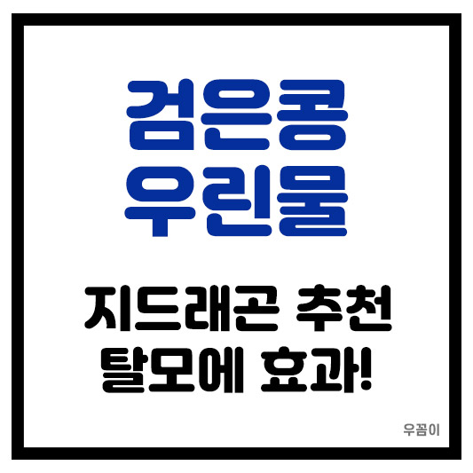 탈모 효과 지드래곤 검은콩 우린물 만드는 방법 가격 마시는 방법