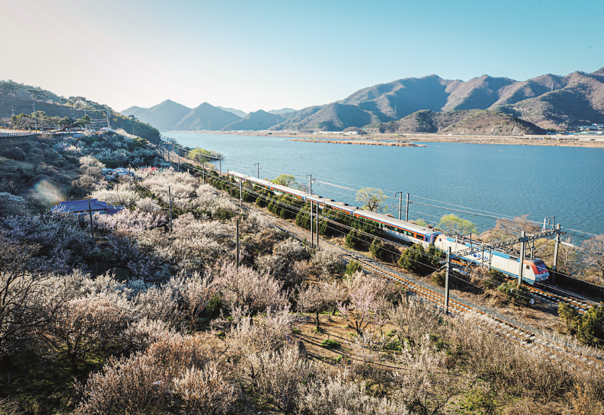 순매원 전망대

1