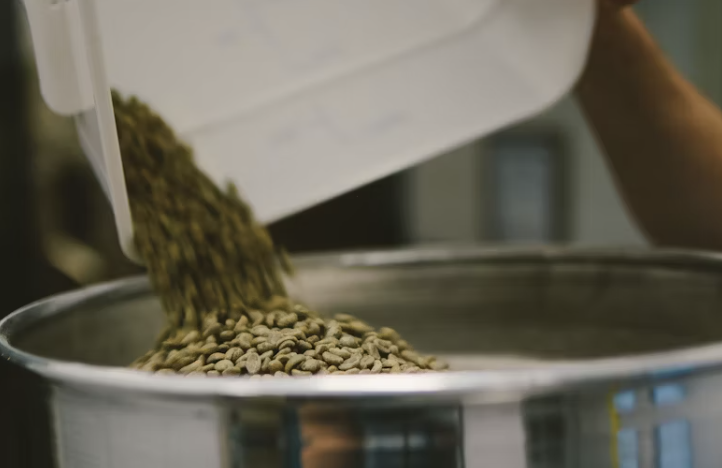 생두란 무엇인가?