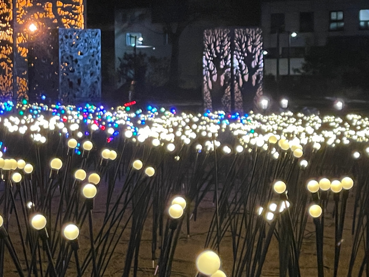 솔빛축제