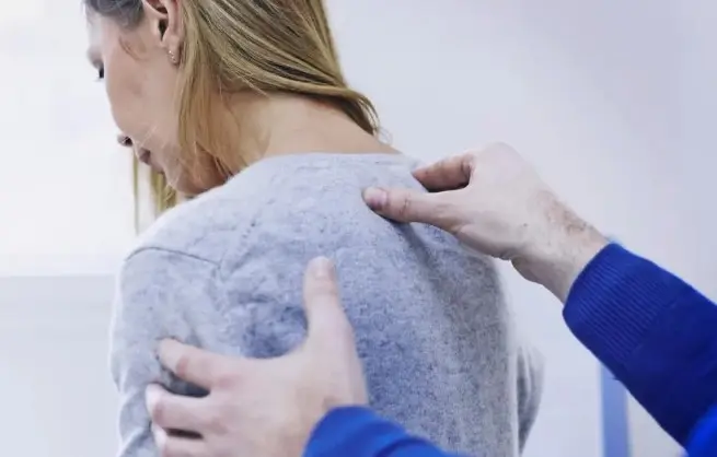 목과 상부 등(상부 척추)