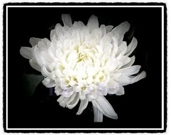 삼가고인의명복을빕니다의 뜻과 띄어쓰기 한문 표기_13