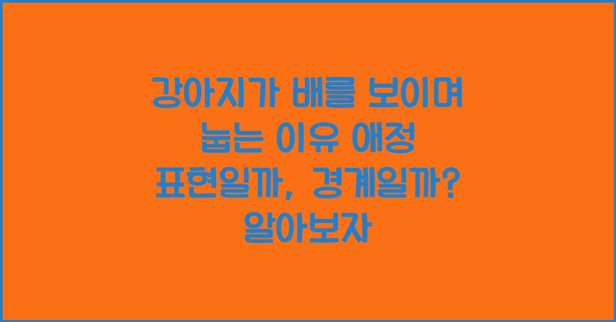 강아지가 배를 보이며 눕는 이유! 애정 표현일까, 경계일까?